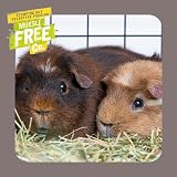 Excel Burgess Indoor Guinea Pig Nuggets 1.5 kg view 7