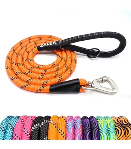 Amazon.com : Long Dog Leash 10 FT: Heavy Duty Rope Leashes for Dogs  Training with Swivel Lockable Hook Reflective Threads Bungee and Padded  Handle - Dog Lead for Large Small Medium Dogs