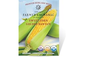 The Old Farmer's Almanac Heirloom Sweet Corn Seeds (Golden Bantam) - Approx 75 Seeds - Non-GMO, Open Pollinated, USA Origin