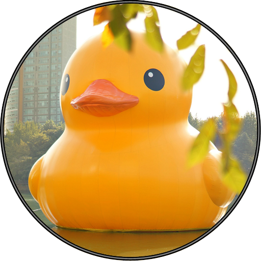 10 Best Duck Sounds Books