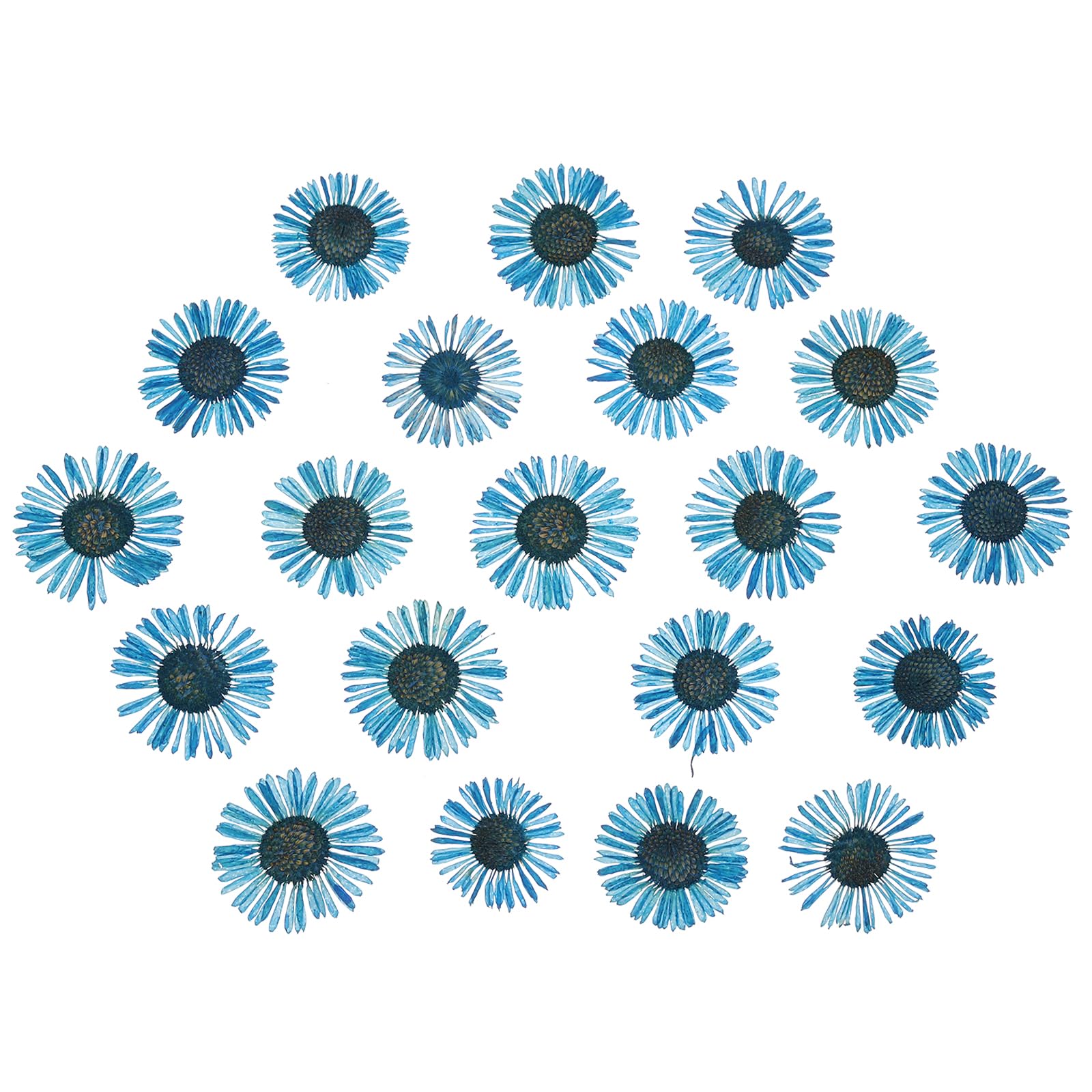 PATIKIL Dried Pressed Flower, 60 Pcs for Resin DIY Crafts Nail Art Cards Scrapbooking Jewelry Making Floral Decor Candle Decors, Blue