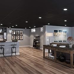 Genesis 2ft x 2ft Smooth Pro Black Ceiling Tiles