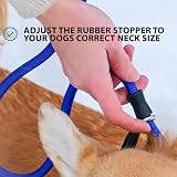 BullyBillows Anti-Tangle Anti-Pull Dog Lead 1.2m Black view 2