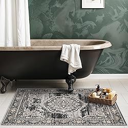 2x3 Washable Hallway Runner Rug: Oriental Indoor