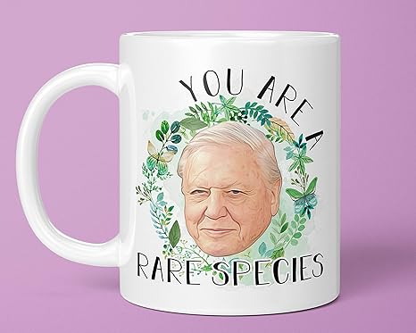 Amazon Com Sir David Attenborough Retro Appreciation Vintage Fan Gift T Shirt Clothing