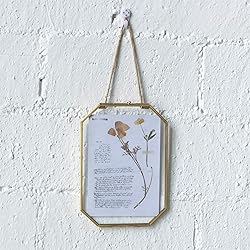 NCYP Small 5 x 7 inch Floating Glass Frame with