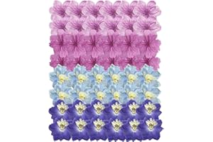 TOPFUNNY 48 Pcs Dried Pressed Flowers for Resin DIY Art Crafts Natural Dry Sakura Larkspur Floral Epoxy Jewelry Real Flower Decor Cakes Phone Cases Candles Handmade Soap