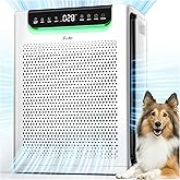 Air Purifiers for Home Large Room, Cover Up to 2600 Ft² with Washable Filters, Powerful Turbo Mode, PM2.5 Air Quality Display, 22dB Sleep Mode, Air Cleaner for Pets Hair, Smoke, Odors, HAP607, White