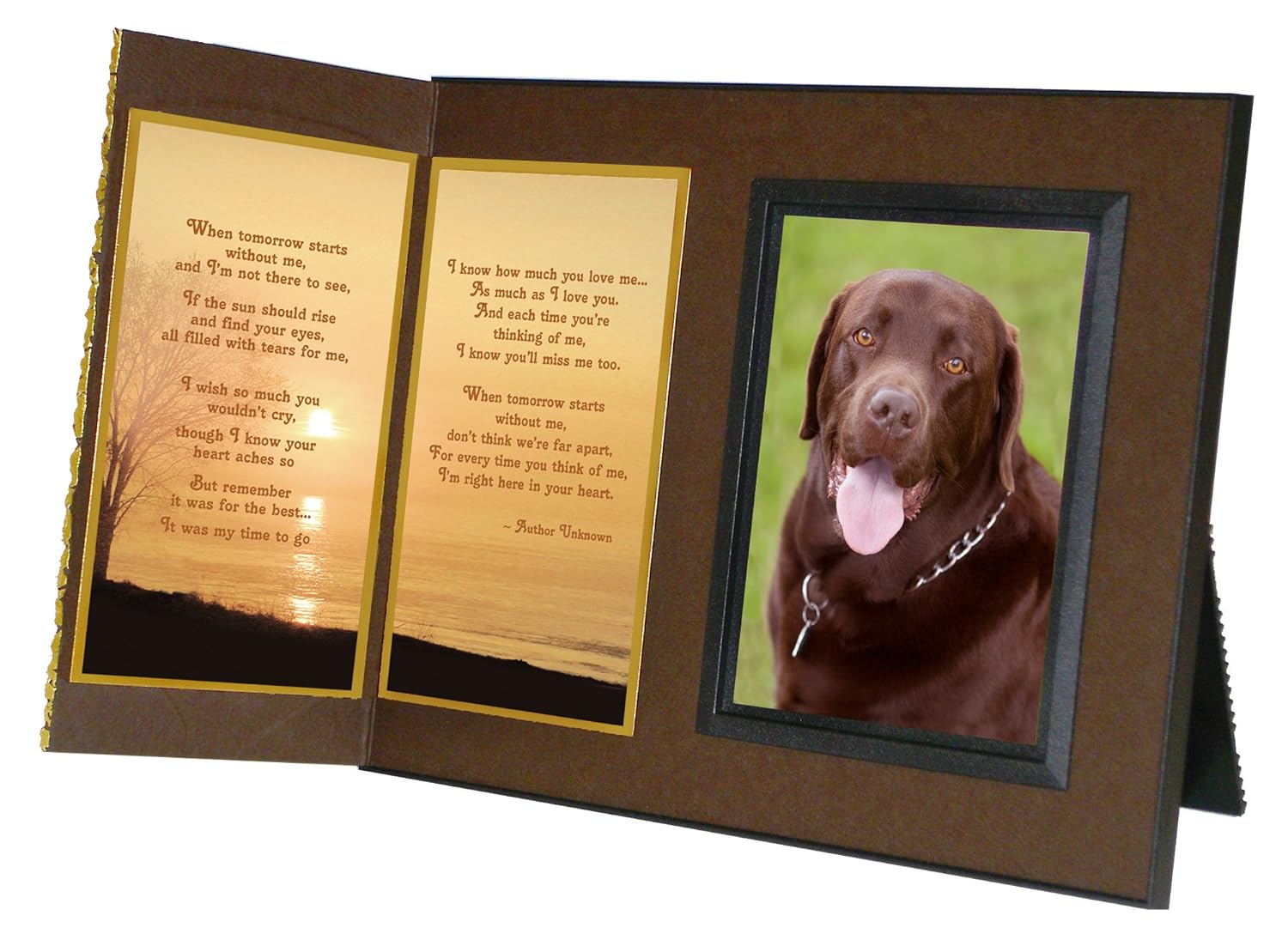 Pet Lover Remembrance Gift, "When Tomorrow Starts Without