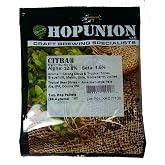 Hopunion US Hop Pellets for Home Brew Beer Making (US Citra)