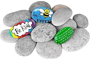 DOJOBKINB River Rocks for Painting 15 Pcs Large 2-3 Inch Flat Smooth Painting Stones Craft Rock to Paint for Kids Crafts Painting Bulk