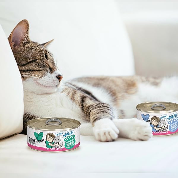 WERUVA BFF MINCED NATURAL WET CAT FOOD, BIG FELINE FEAST VARIETY PACK, 10OZ CAN, PACK OF 12