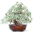 KALIFANO Natural Aventurine (360 Gemstone Count) Chakra Crystal Tree - Bonsai Feng Shui Money Tree for Luck and Intelligence - 8"