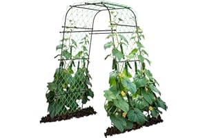 AlisisFores Garden Arch Plant Trellis for Climbing Plants Outdoor, Cucumber Trellis for Raised Bed, Grape Metal,Arbor Trellis Plant Support Flower Vegetables,Tomato Black,6.7FT Rust-Proof