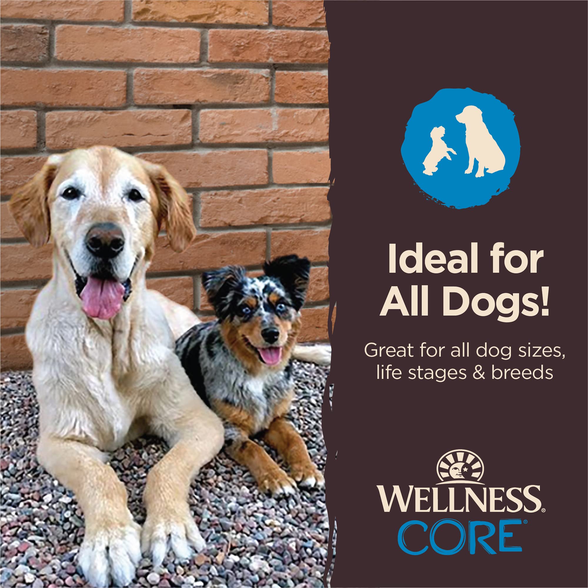 Wellness CORE Pure Rewards, GrainFree Tender Jerky Treats, Made in USA