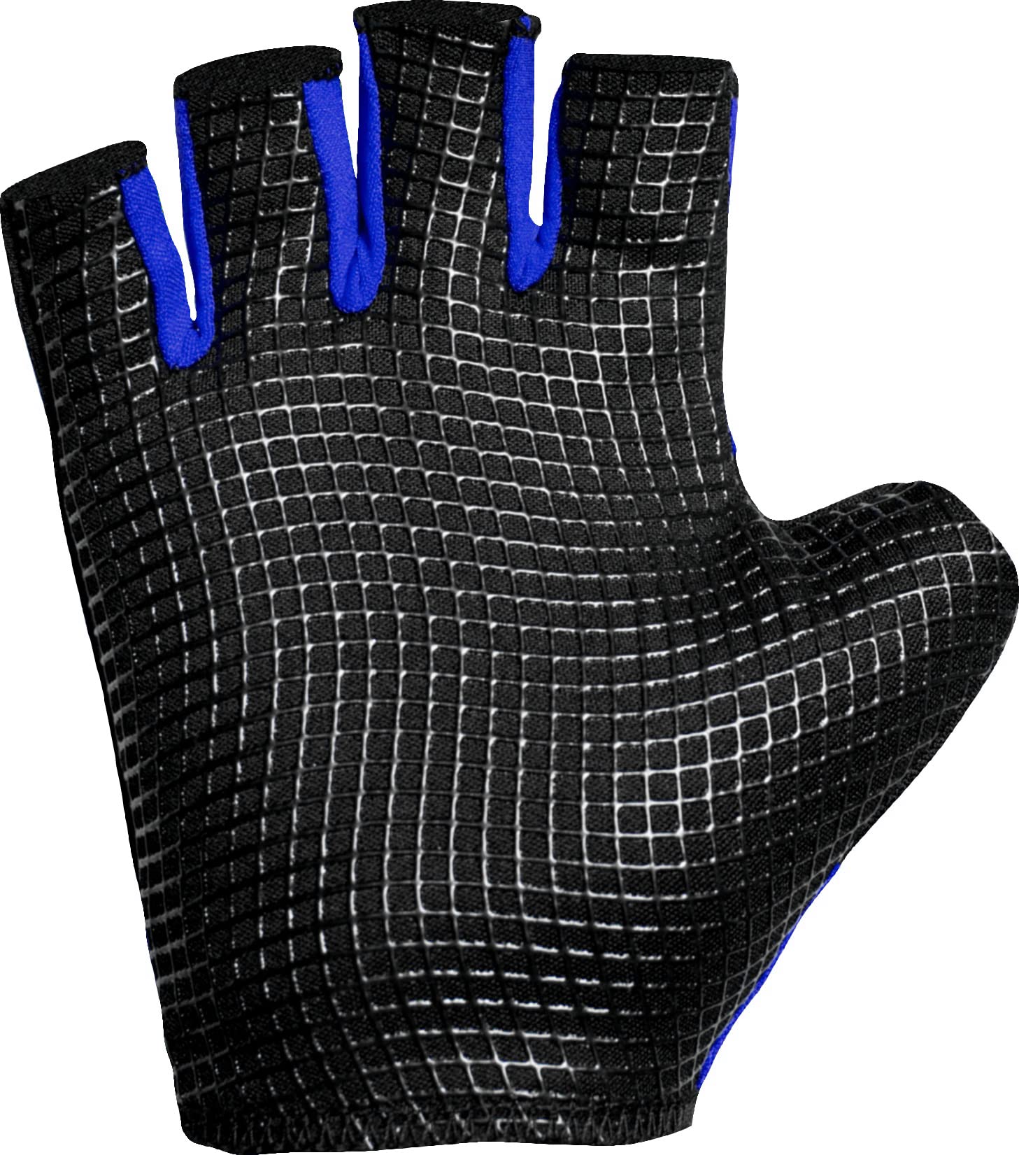View 3