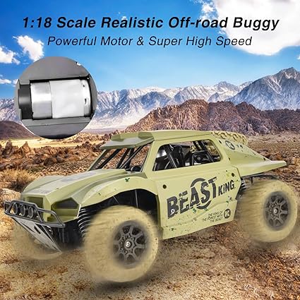 gotechod remote control car