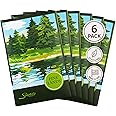 Simplicity Scents Pine Lands Scented Sachets Pack of 6, Everyday - Long-Lasting Scented Bags, Home Fragrance, Air Freshener & Deodorizer for Closet, Room, Drawer, or Cars, Made in USA