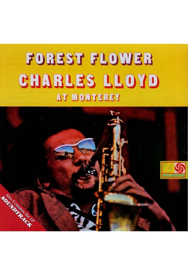 Amazon.com: Forest Flower