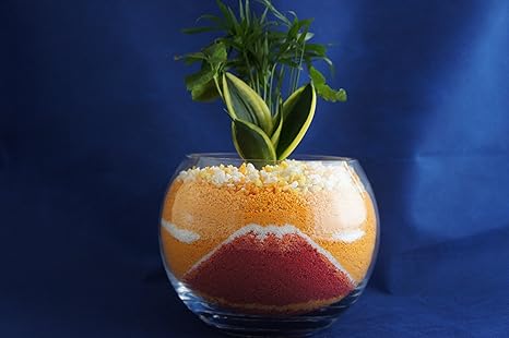 Amazon Co Jp 寄せ植え２種 ハイドロカルチャー 観葉植物 富士山 赤 ホーム キッチン