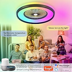 KAMLAM 24" Low Profile Ceiling Fans with