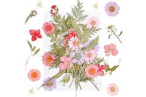 LOKIPA 33PCS Natural Pressed Dried Flowers Resin, Dry Flowers and Leaves for Scrapbooking DIY Art Crafts, Candle, Nail Decor, Jewelry Making(Pink)