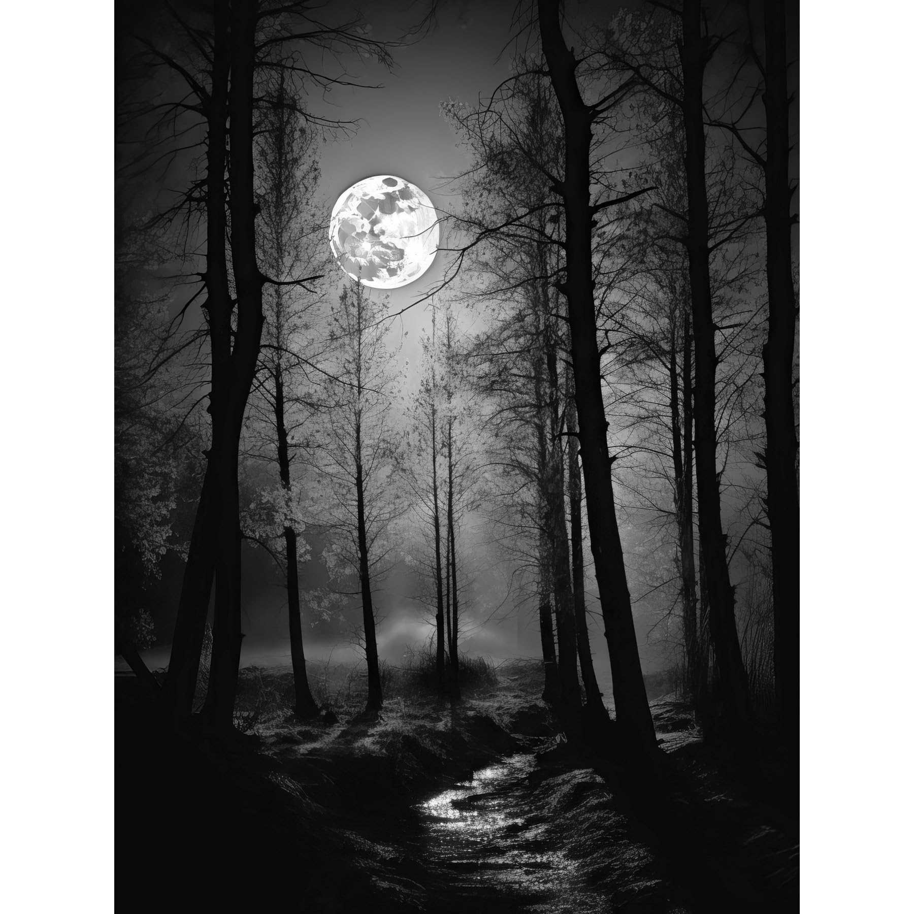Artery8 Full Moon Over Misty Forest Black and White Photo Extra Large XL Wall Art Poster Print
