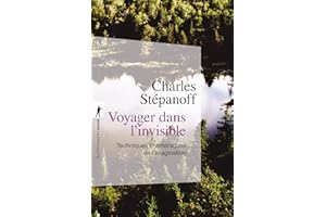 Voyager dans l'invisible: Techniques chamaniques de l'imagination (Poche / Sciences humaines et sociales) (French Edition)