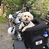 saddlemen dog carrier