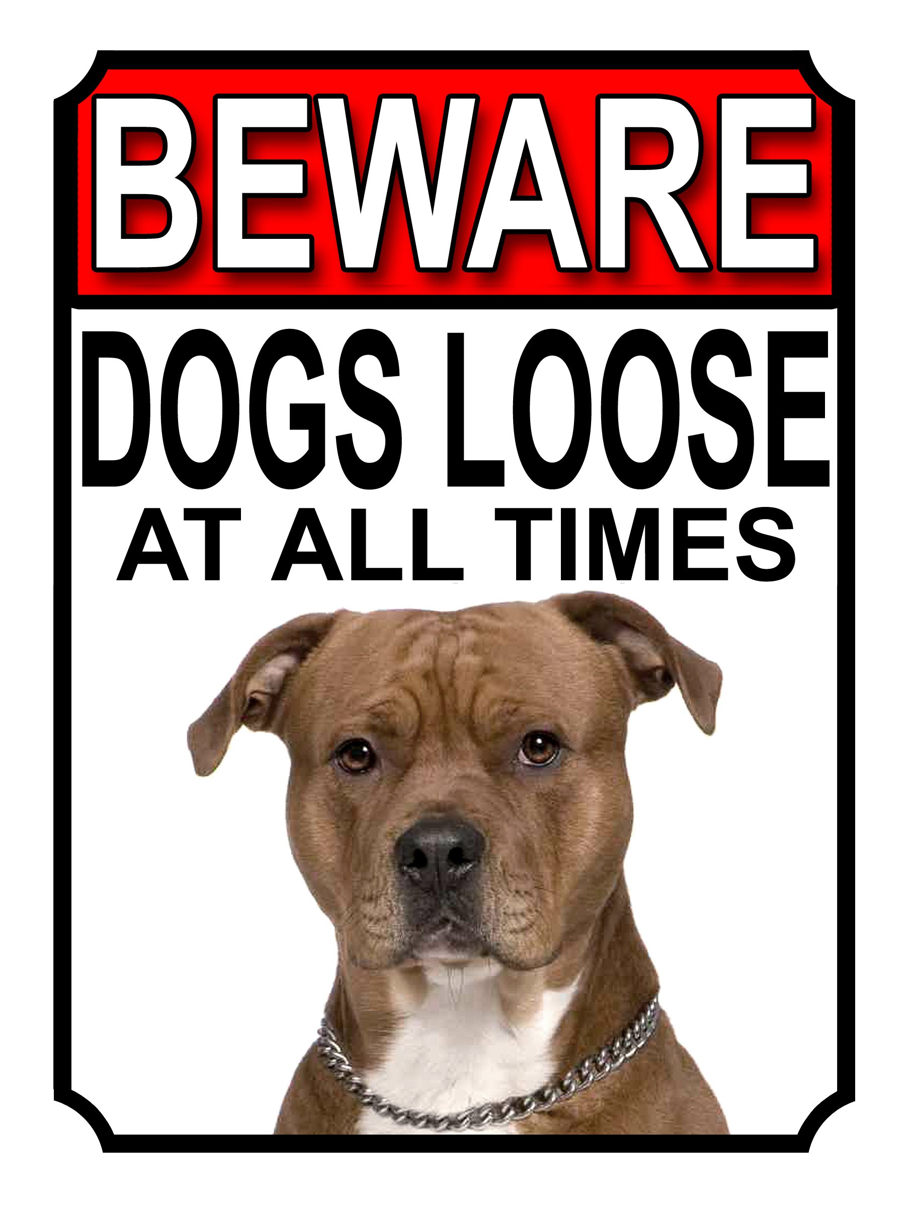 BEWARE DOGS LOOSE AT ALL TIMES METAL SIGN AMERICAN PIT BULL 200MM X 150MM (969H1)