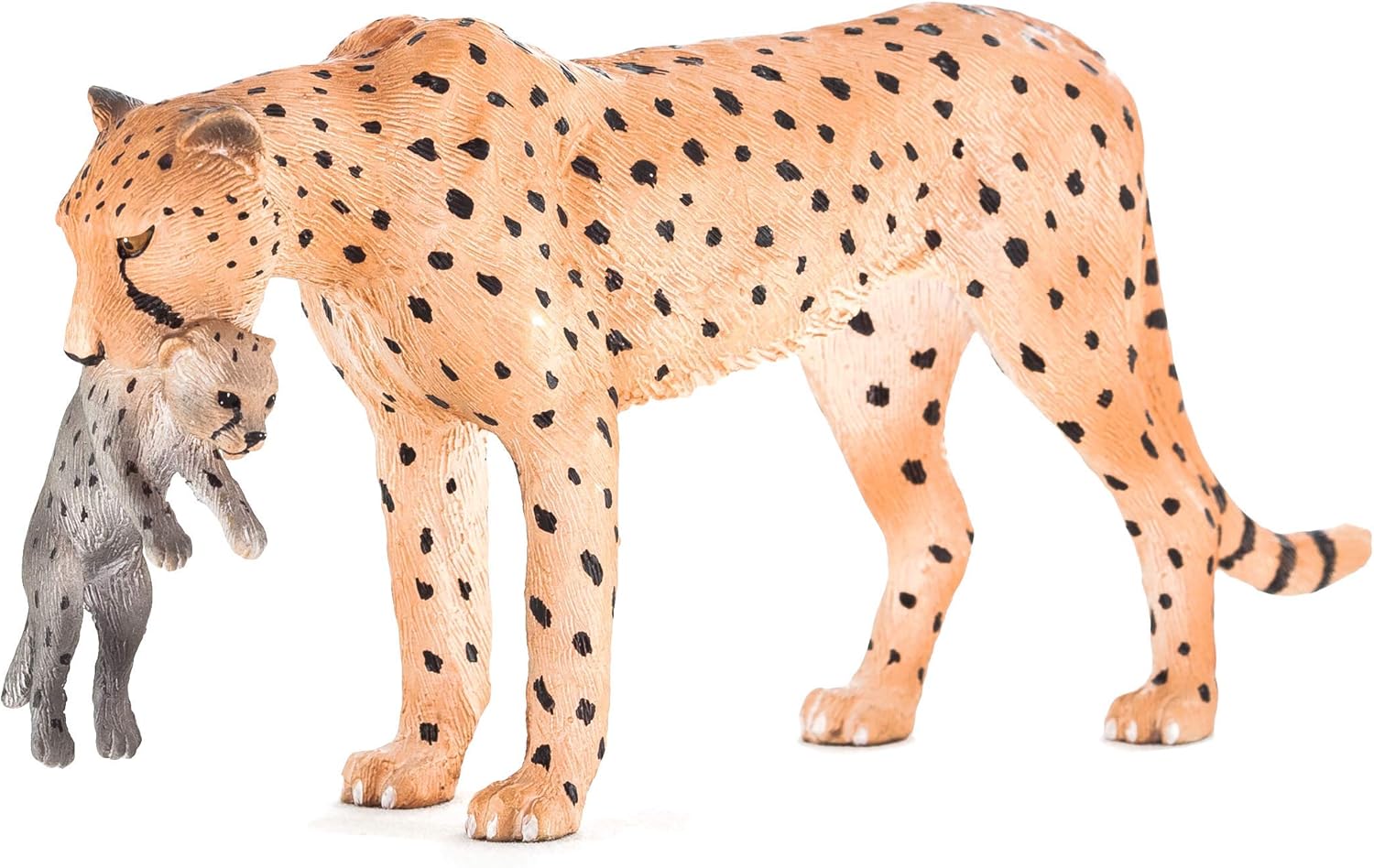 MOJO - Cheetah Female, Tawny