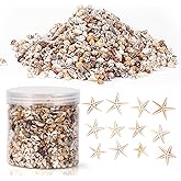 WEOXPR 2000 Pcs Tiny Sea Shells & Starfish for Crafting,Mini Seashells Bulk for Home Decorations,Beach Theme Party, Small Mixed Shells & Starfish for Ocean Craft, Wedding Decor, Fish Tank Vase Filler