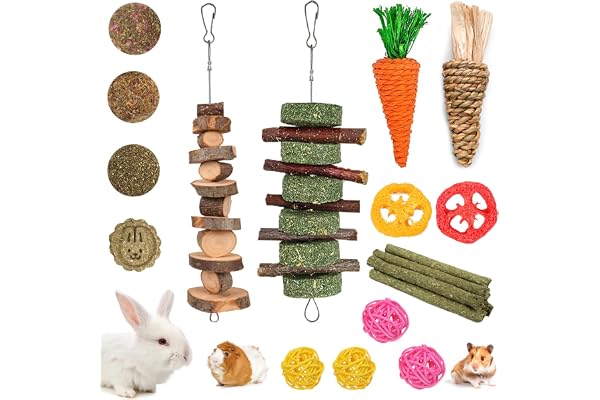 Grddaef 20 PCS Bunny Chew Toys for Teeth, Natural Rabbit Toys Apple Wood Grass Timothy Sticks Chew and Treat for Guinea Pigs Hamster Chinchillas