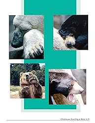 Chainsaw Carving a Bear: A Complete Step-By-Step