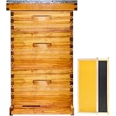 Gold Standard 10 Frame Bee Hive Beeswax Coated Includes Beehive Frames and Foundations (2 Deep Boxes &amp; 1 Medium Box)