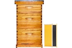 HIVEAURA Gold Standard 10 Frame Bee Hive Beeswax Coated Includes Beehive Frames and Foundations (2 Deep Boxes & 1 Medium Box)