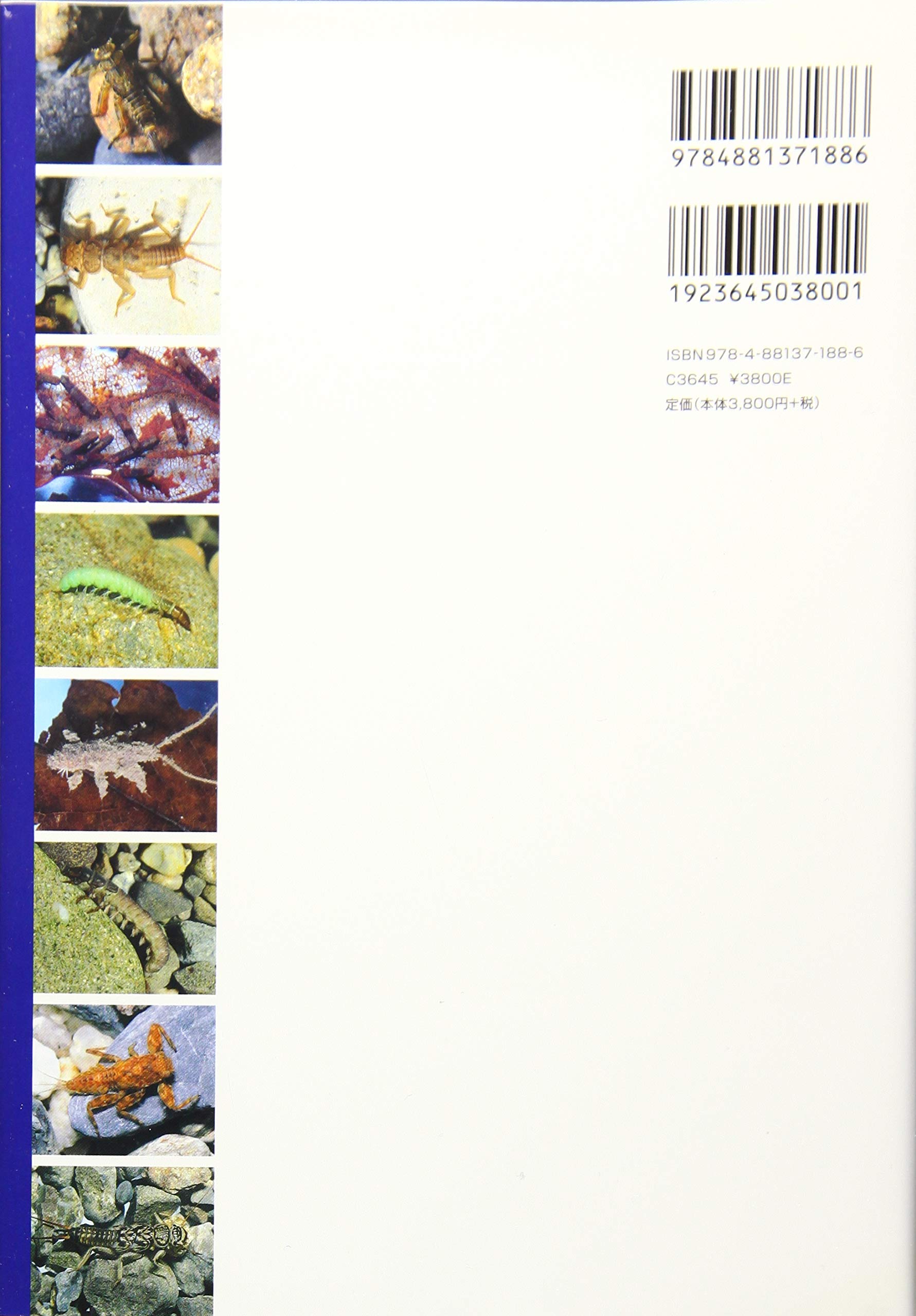 原色川虫図鑑 幼虫編 博紀 丸山 幹夫 高井 一三 谷田 本 通販 Amazon