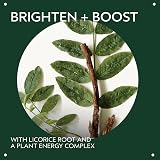 Aveda Botanical Kinetics Energizing Eye Creme Brighten Dark Circles Caffeine view 3