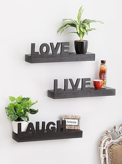 Artesia Floating Wall Shelf with 3 Shelves (Black)