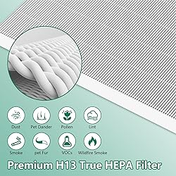 C545 Replacement Filter S Compatible with Winix