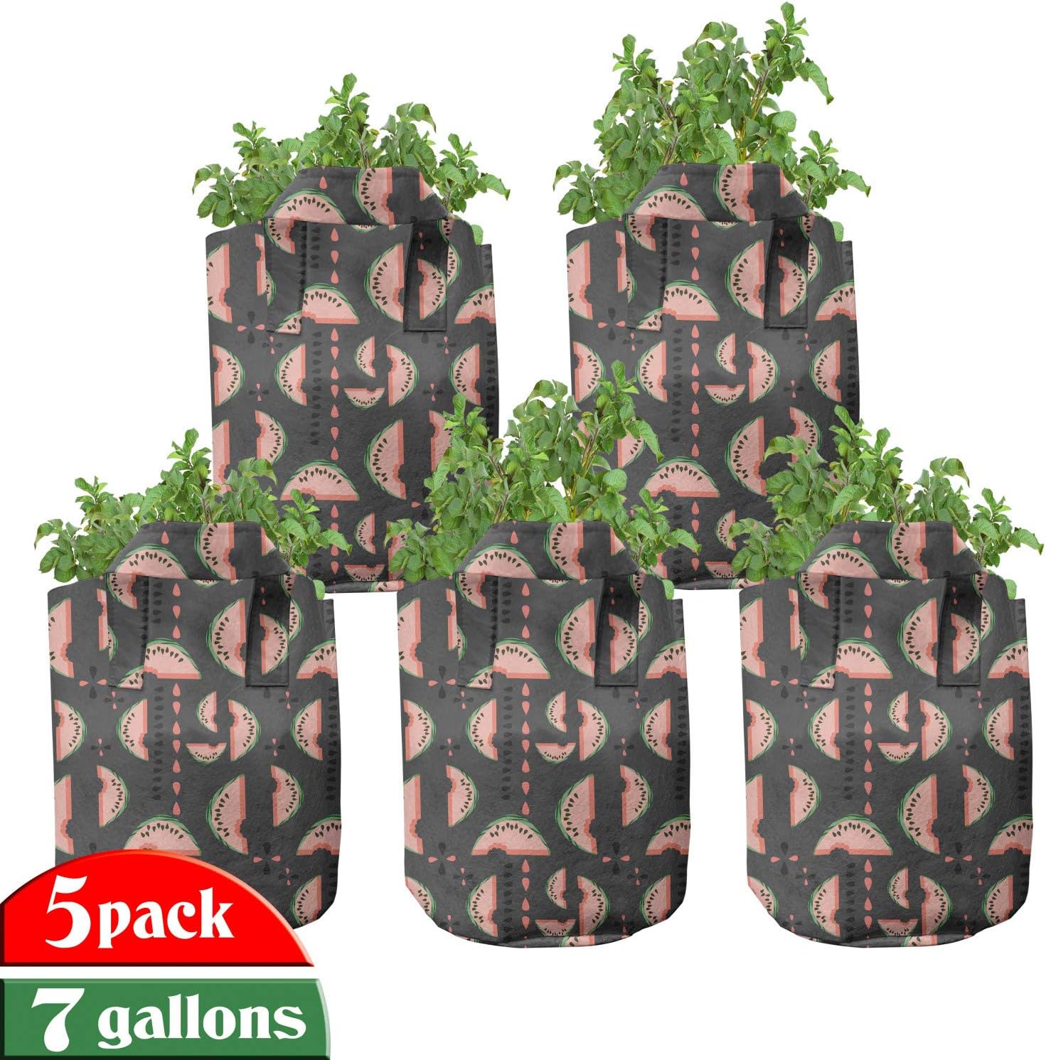 Lunarable Watermelon Grow Bags 5Pack, Abstract and Slices
