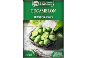 TKE Farms & Gardens - Cucamelon Seeds for Planting, 75 Heirloom Non GMO Seeds, Mexican Sour Gherkin Mouse Melon, Delicious Mini Fruits, Easy to Grow, Includes Instructions, Rare Garden Seeds, 1 Pack