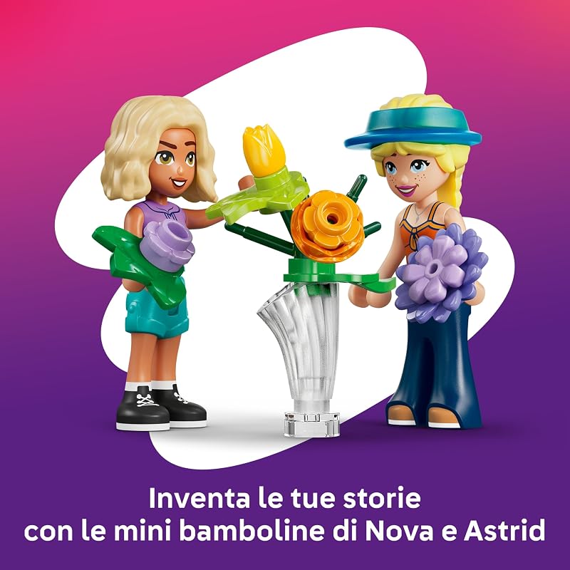 Friends Negozio di fiori creativo 42693