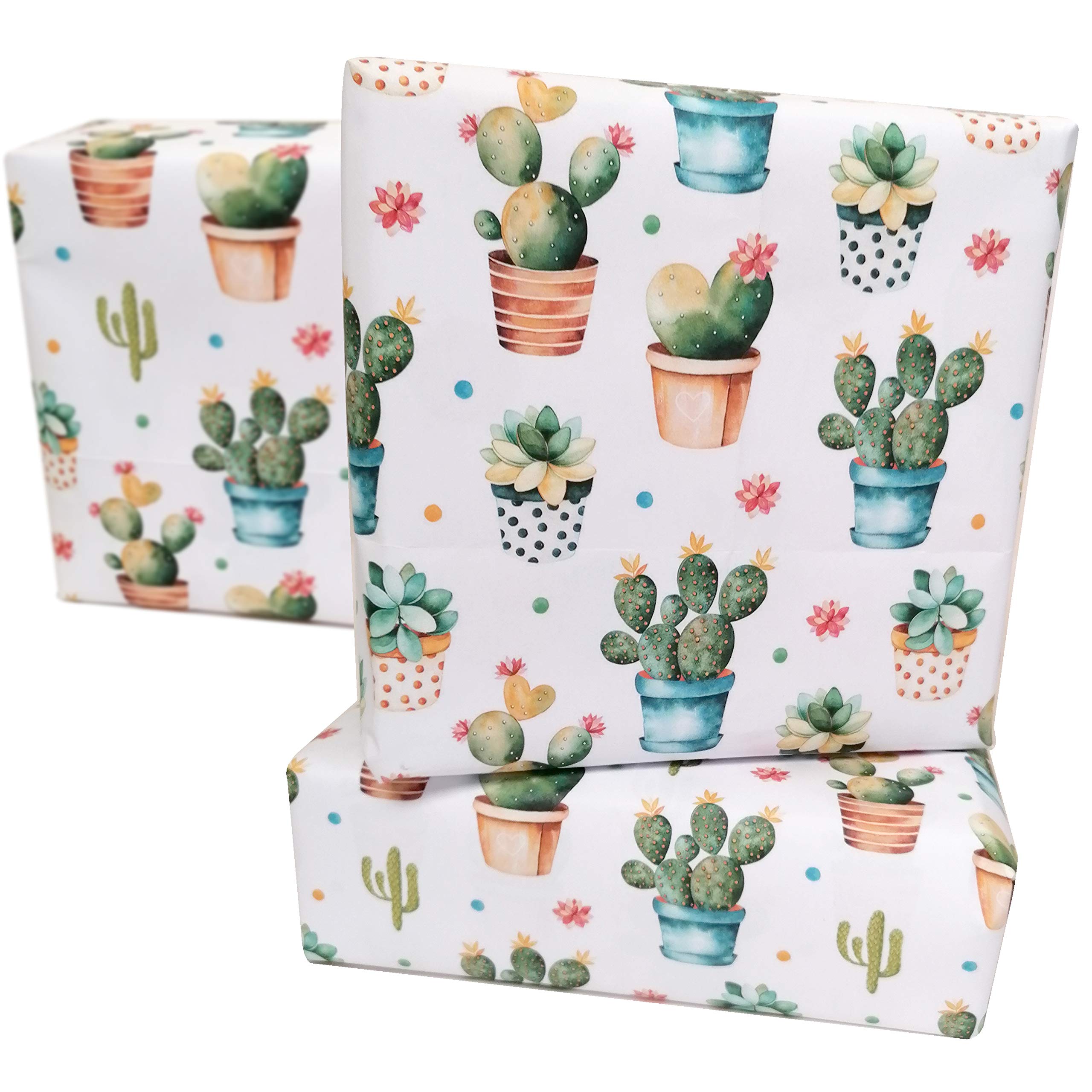 6 x Cactus Floral Gift Wrapping Paper & 10 Gift Tags Unisex Girl Women Male Female Botanical Gift wrap Paper for Birthday Presents Occasions Celebrations 50x70cm Folded Sheets