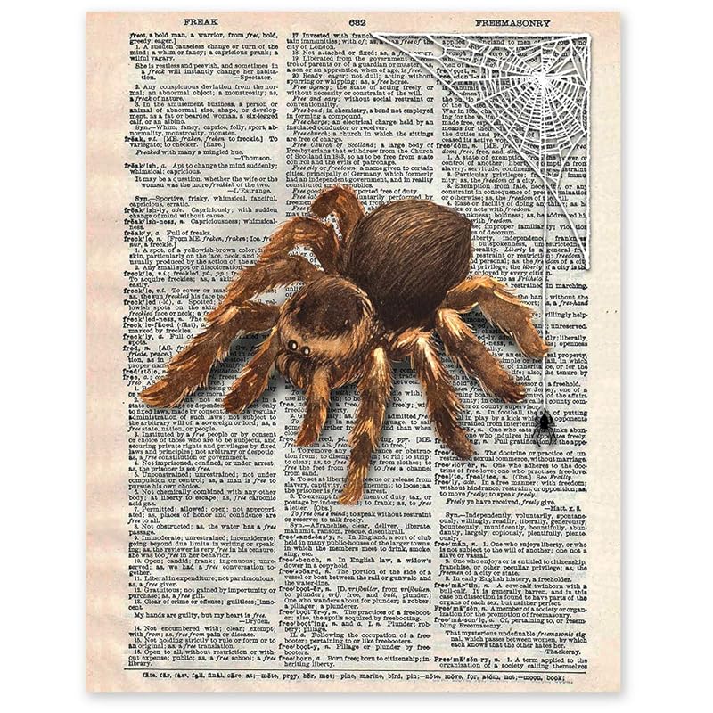  Spider Upcycled Dictionary Art 8 x 10 Unframed Print