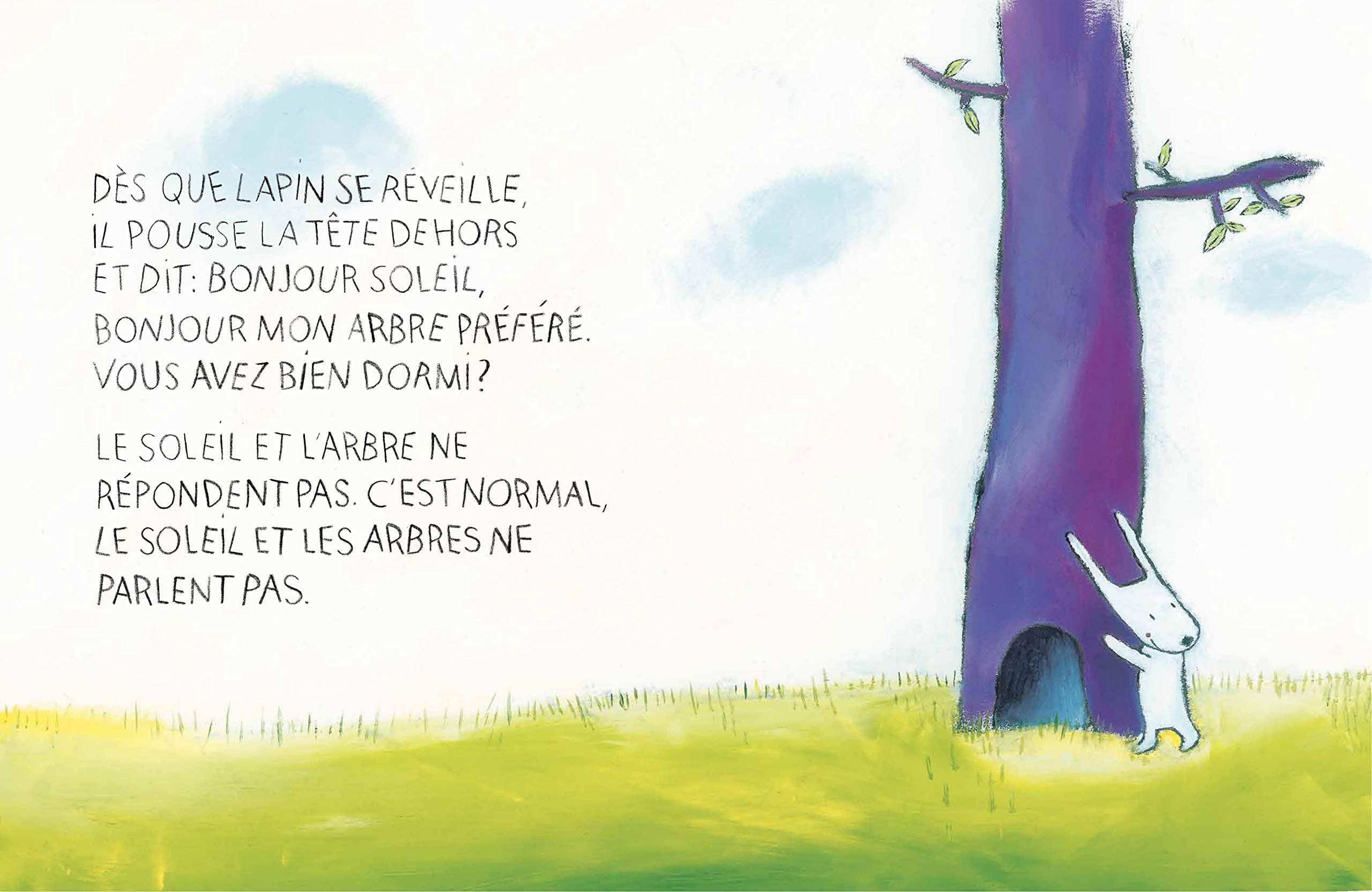 On Dit Bonjour Pastel French Edition Jadoul Emile 9782211239103 Amazon Com Books