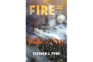 Fire: A Brief History