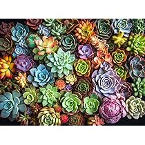 Cross And Glory Macaron Palette Parade 1000 Piece Jigsaw Puzzle | INDIA