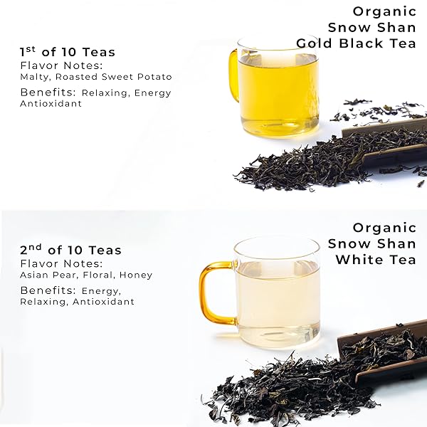 SACHS TEA 1773 FOUNDER’S ASSORTMENT – ORGANIC ASSORTED LOOSE LEAF TEA – 30 SACHETS – GREEN, BLACK, RED, WHITE, YELLOW, HERBAL TEAS – FRESH FLORAL, ROASTED FRUIT, MALTY, WOODY, HERBACEOUS NOTES – SUGAR-FREE, NON-GMO, KETO-FRIENDLY