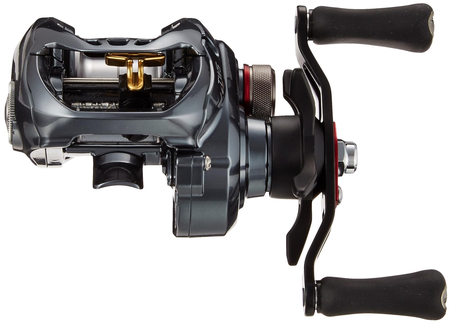 ダイワ Daiwa リール タトゥーラ Sv Tw 7 3l B01n151kz5 ベイトリール 無料配達 Www Porticodemexico Com